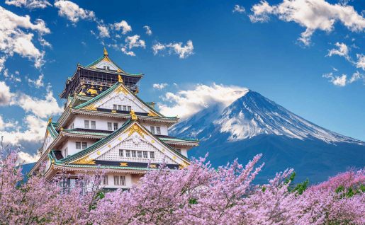 Mont Fuji et Chateau, Osaka, Japon