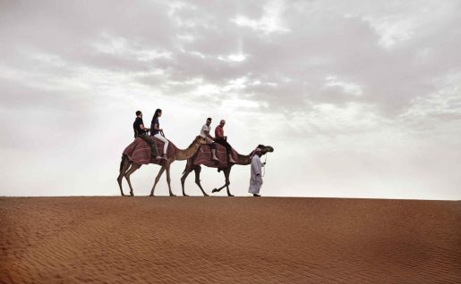 Balade en chameaux, Désert, Dubaï