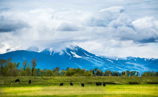 Bozeman, Montana, Etats Unis