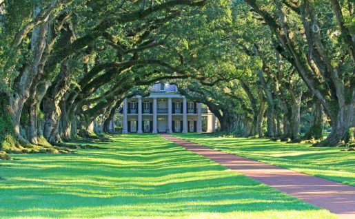 Plantation de Oak Alley, Louisiane, États-Unis